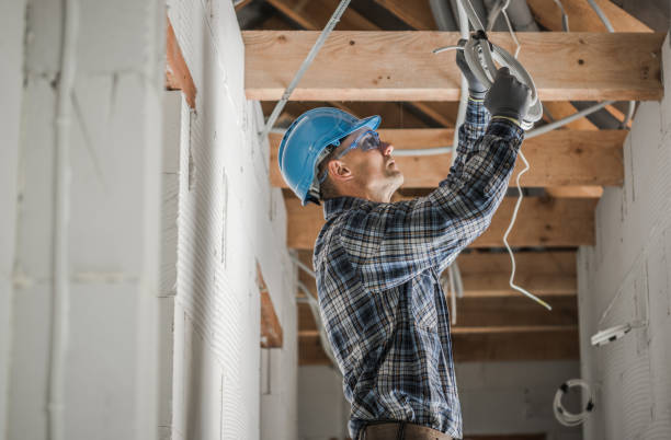 Best Electric Panel Repair  in Willow Park, TX
